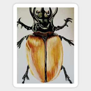 Beetle Sticker